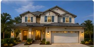 Representative Wesley Chapel new-home community